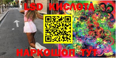 гидропоника Новозыбков