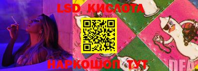 тгк Новокубанск
