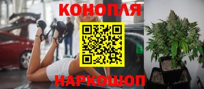 тгк Новокубанск