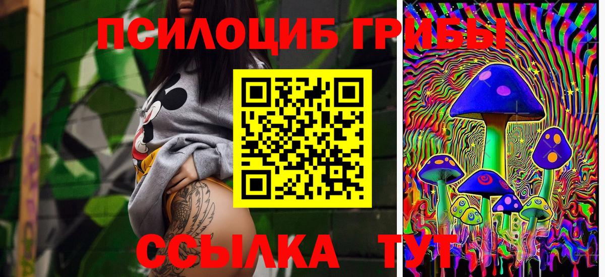 Псилоцибиновые грибы Psilocybine cubensis Топки